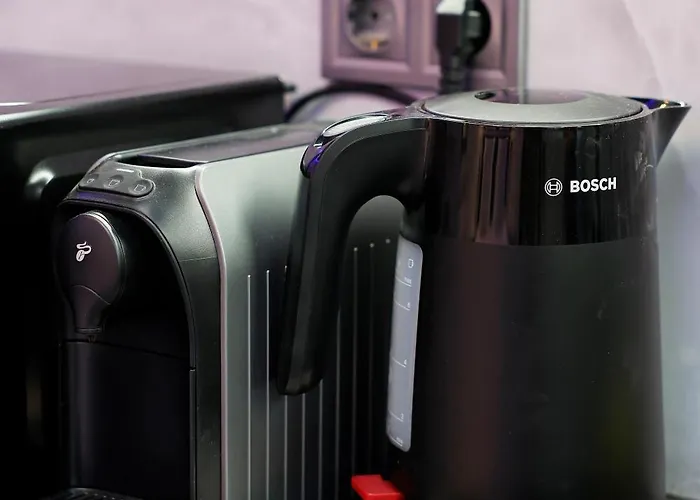 Deluxe 3 Center Apartament