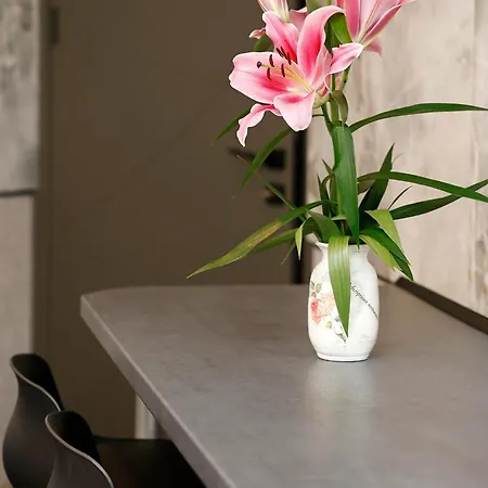 Appartamento Deluxe 3 Center *